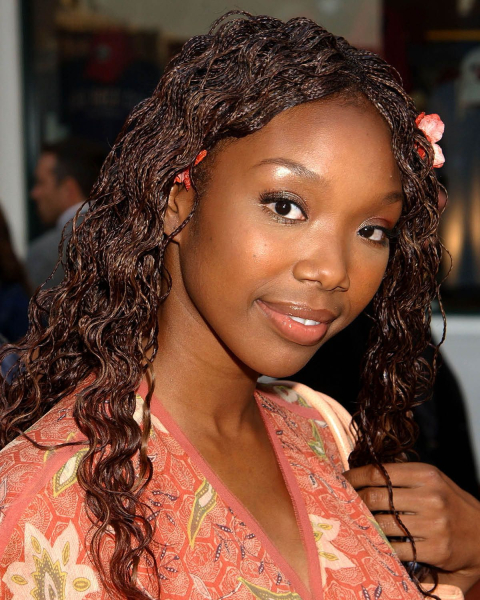 brandy microbraids  90s hair inspiration